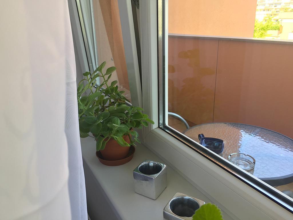 Apartment Lilly أولوموك المظهر الخارجي الصورة